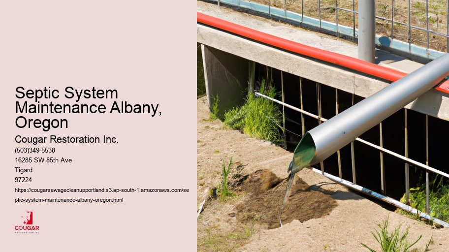 Septic System Maintenance Albany, Oregon