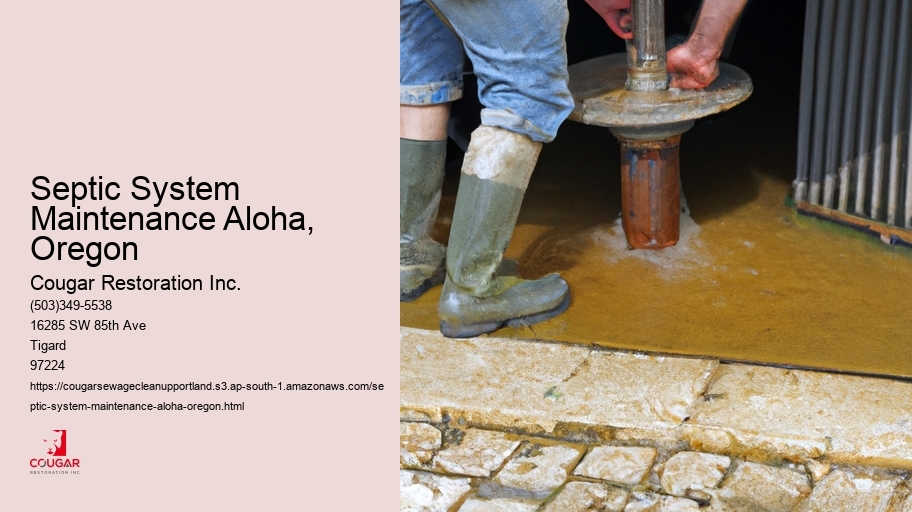 Septic System Maintenance Aloha, Oregon