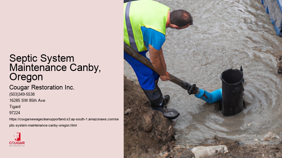 Septic System Maintenance Canby, Oregon