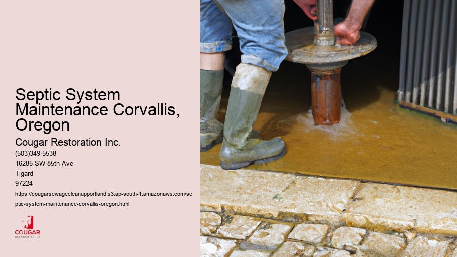 Septic System Maintenance Corvallis, Oregon