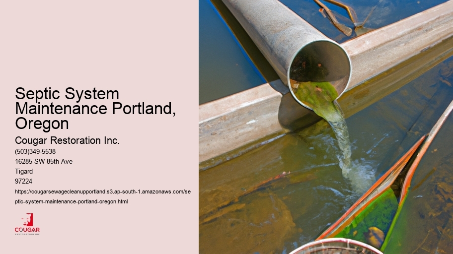 Septic System Maintenance Portland, Oregon