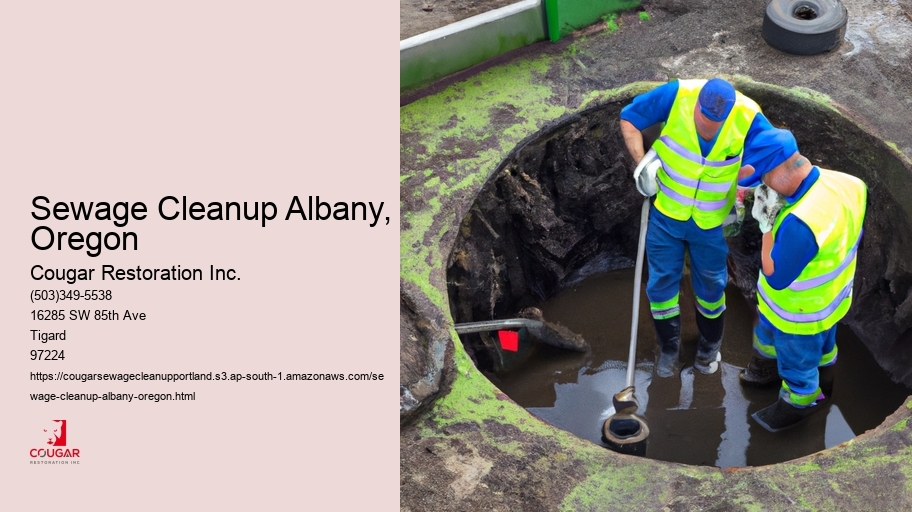 Sewage Cleanup Albany, Oregon