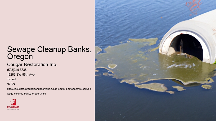 Sewage Cleanup Banks, Oregon
