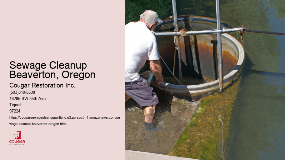 Sewage Cleanup Beaverton, Oregon