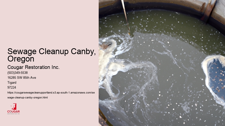Sewage Cleanup Canby, Oregon