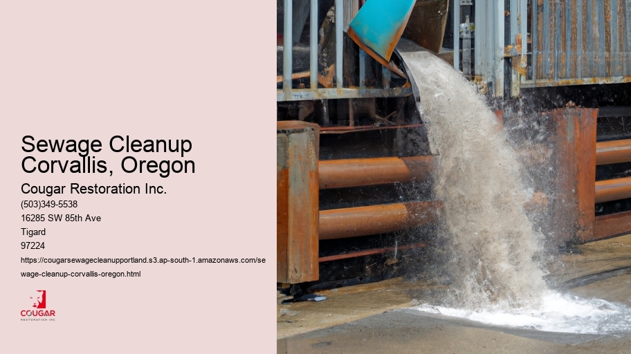 Sewage Cleanup Corvallis, Oregon