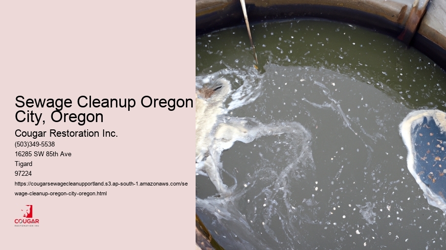 Sewage Cleanup Oregon City, Oregon