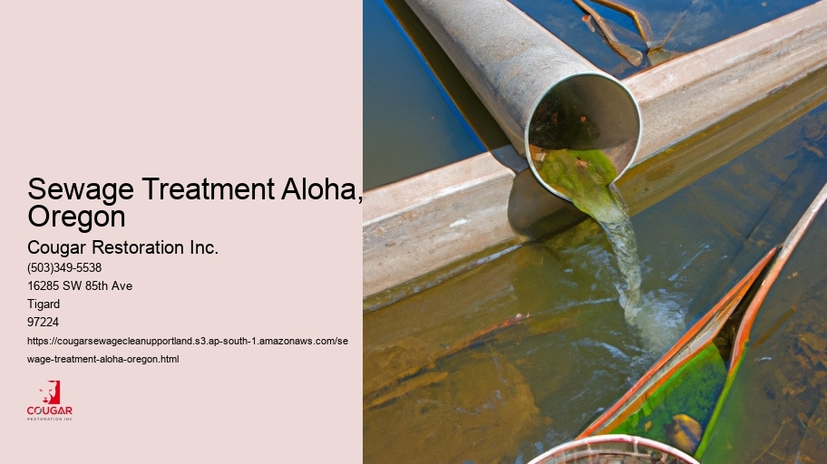 Sewage Treatment Aloha, Oregon