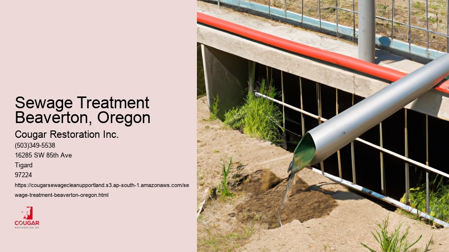 Sewage Treatment Beaverton, Oregon