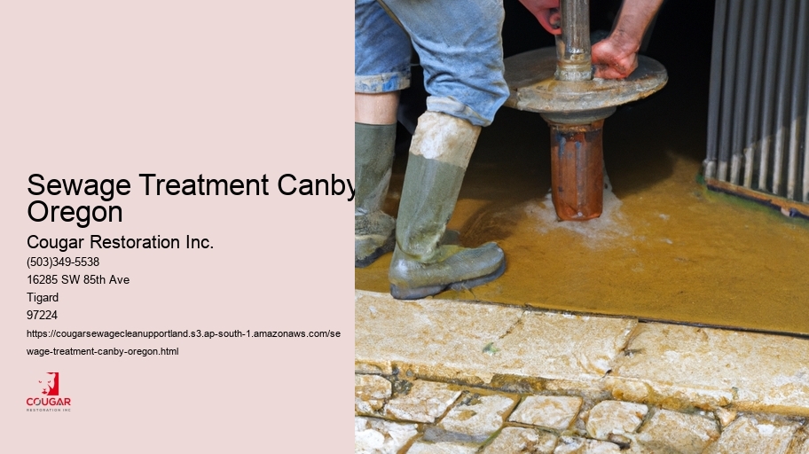 Sewage Treatment Canby, Oregon