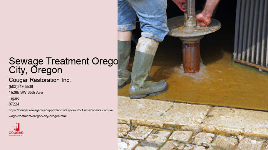 Sewage Treatment Oregon City, Oregon